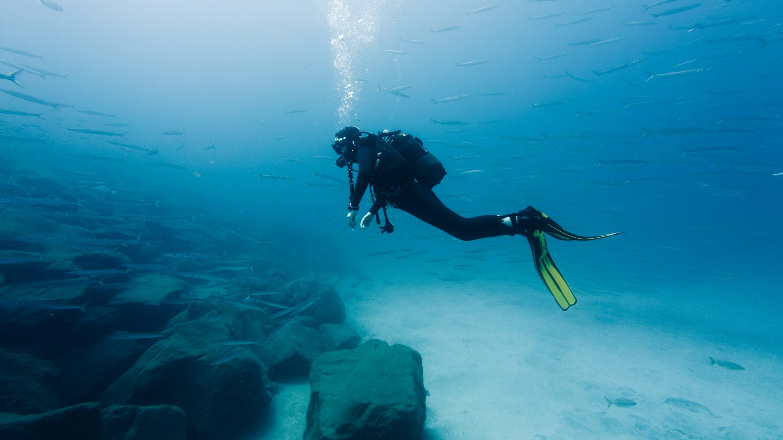 PADI Rescue Diver Course Outline & Why You Should Take It