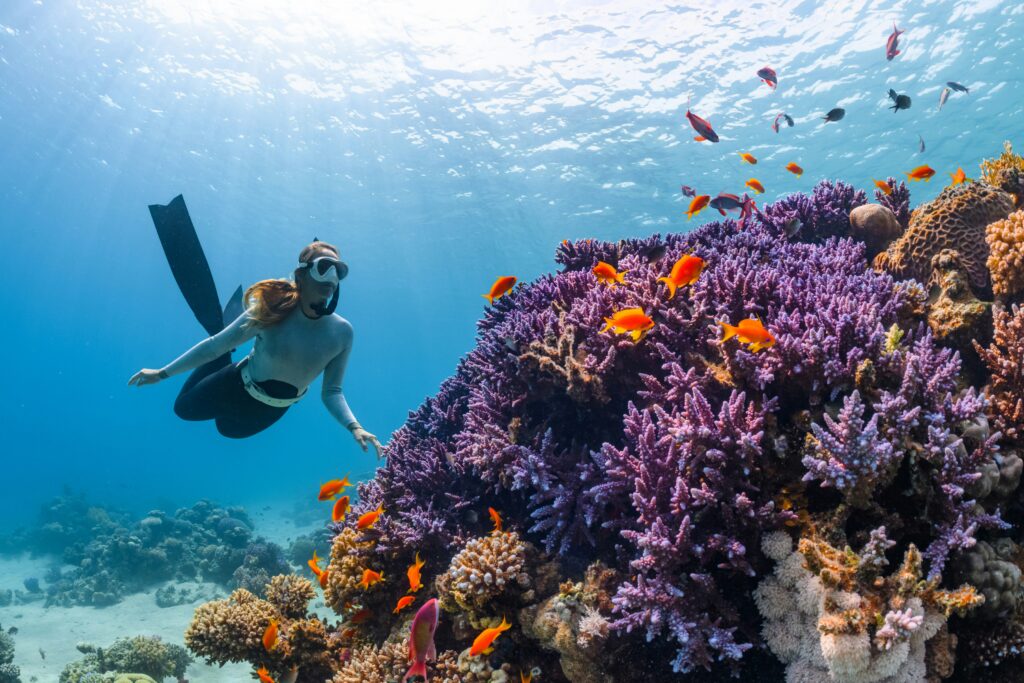 Scuba Diving and Yacht Combo Deals in Dubai Marina