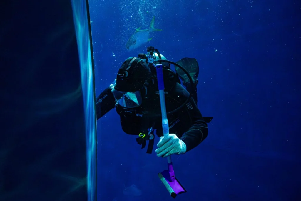 technical diving training Dubai