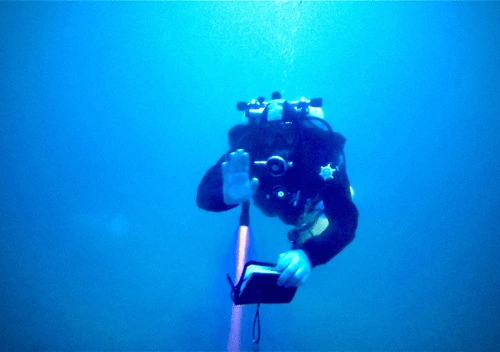 Tec 40 Course