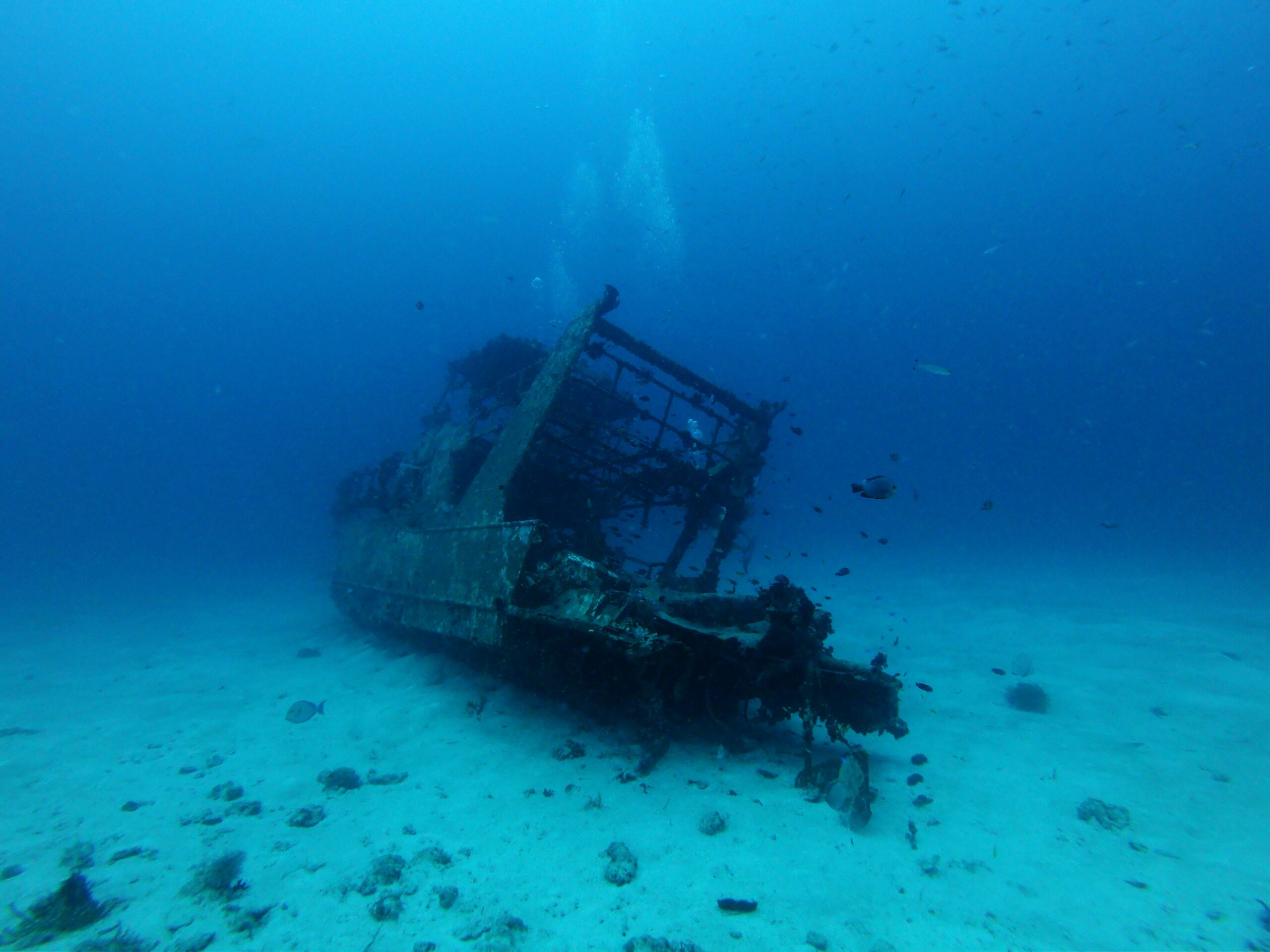Top Wreck Dives in Dubai to Explore This September