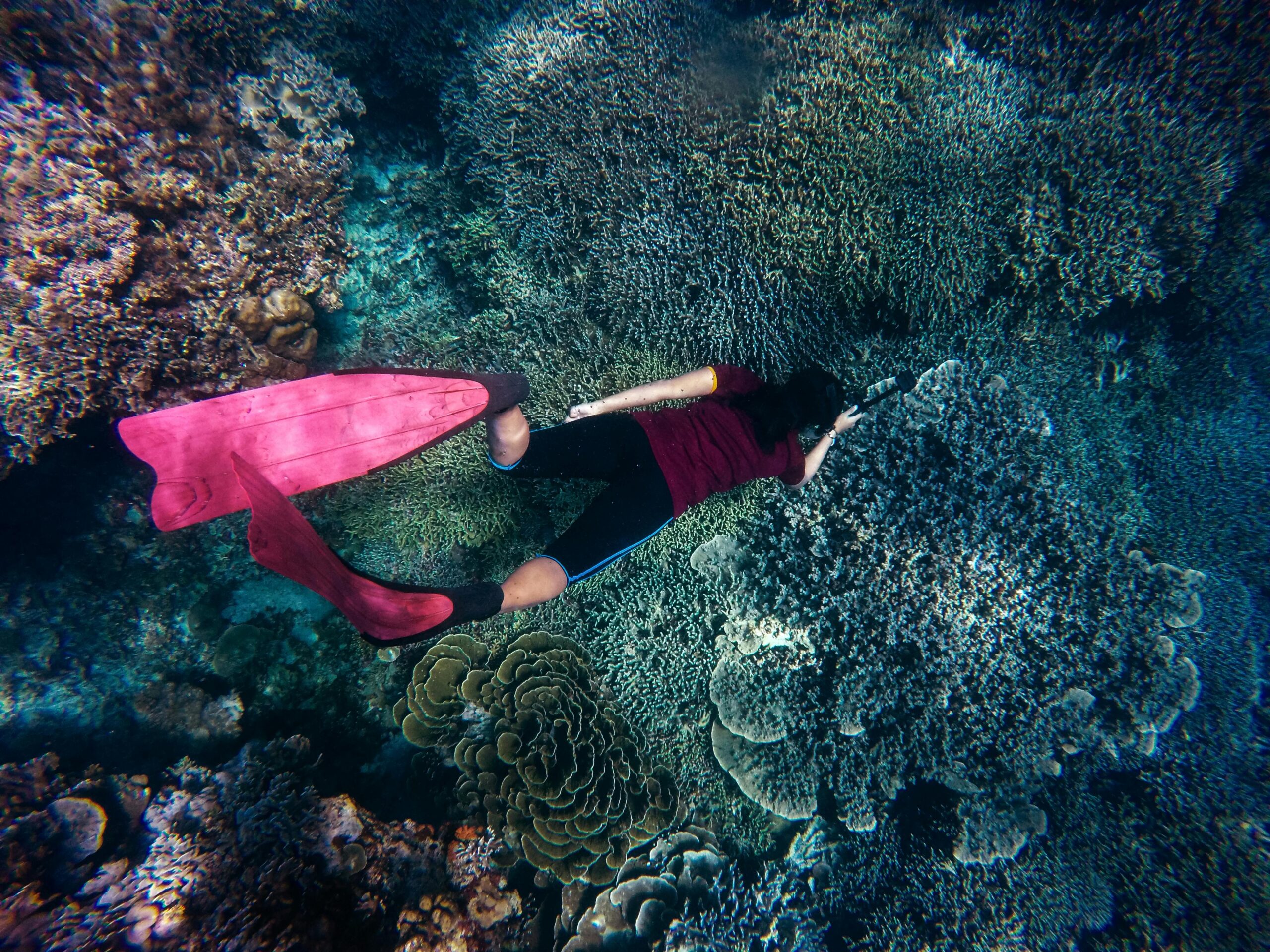 Uncovering the Truth: Debunking Top Scuba Diving Myths