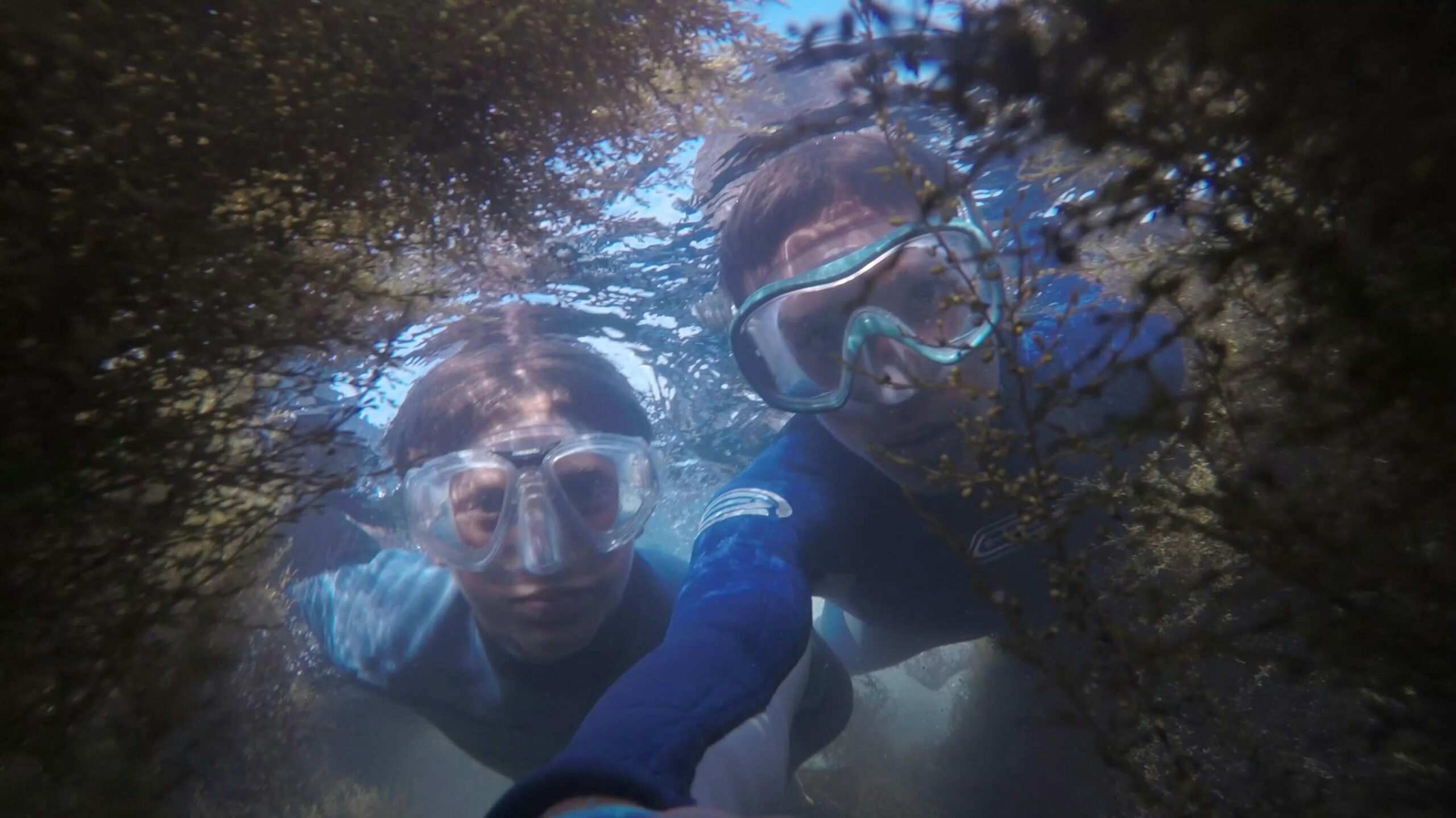 The Ultimate Weekend Escape: Diving Adventure in Dubai