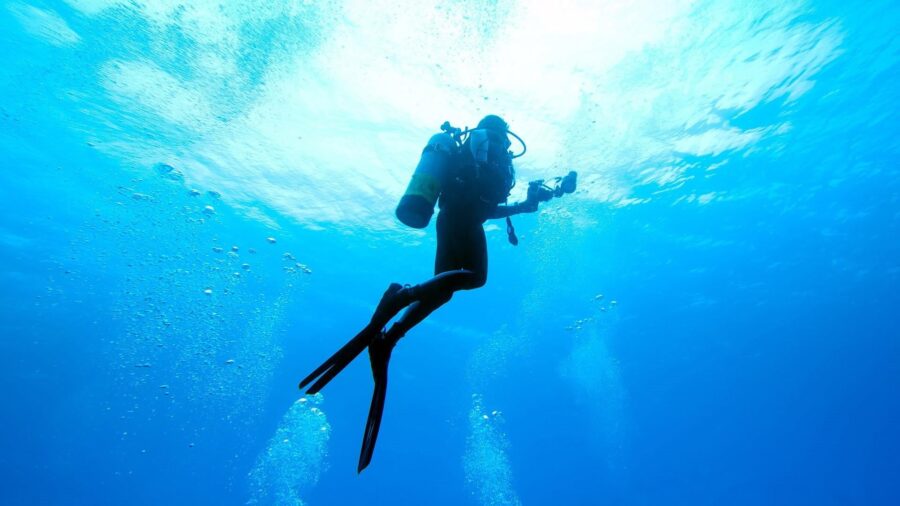 Maldives Trip 1 – Red Sea Liveaboard (9 – 16 July 2024) - Image 10