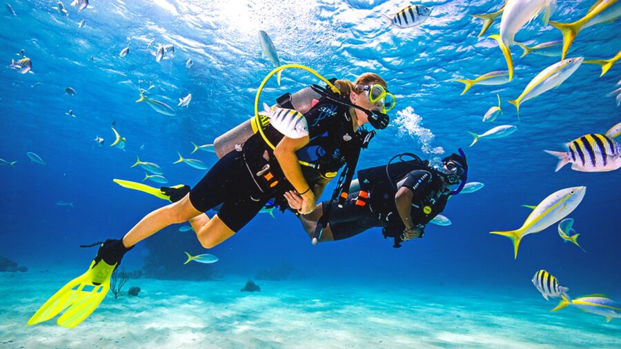 Maldives Trip 1 – Red Sea Liveaboard (9 – 16 July 2024) - Image 11