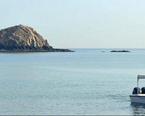 Dibba Rock is a small rocky island off Fujairah known for its colourful corals, resident turtles and the possibility of encountering reef sharks.