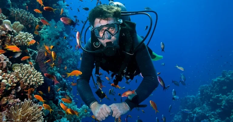 Explore Octopus Rock in Musandam, Oman, a reef dive site with vibrant corals and pelagic marine life, suitable for all levels. Book now.