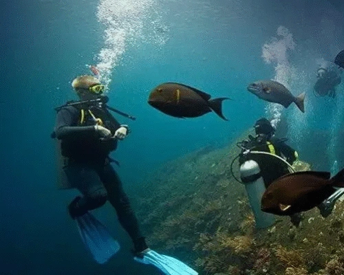 Dive Site in Fujairah