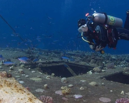 Inchcape 10 is the largest and newest of Fujairah’s artificial reefs. Originally built in Singapore in 1982 and later acquired by Inchcape Shipping Services, the vessel—formerly known as Jetwise—was purposefully sunk in June 2003 to create a wreck dive. Resting upright with its bow facing north, the ship now serves as a complex playground for qualified divers and a sanctuary for marine life.