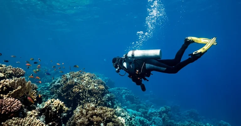 Dive Sharm Rock in Fujairah, three pinnacle formations with soft coral gardens at max 15m depth. Calm conditions suit all diver levels.
