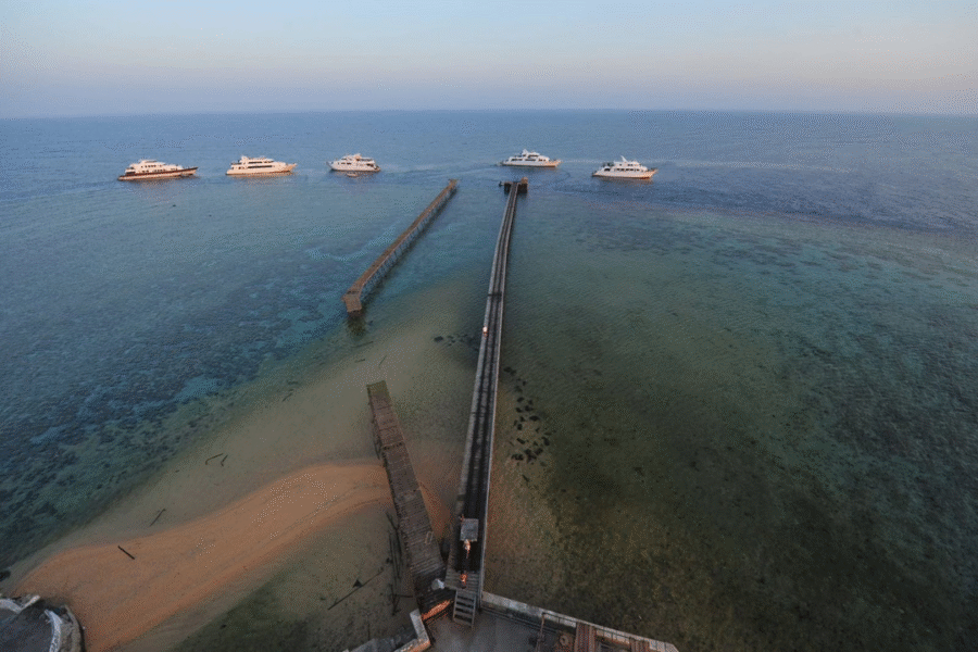 Egypt Trip 7 – Deep South & Dolphin Encounter Expedition - Image 3