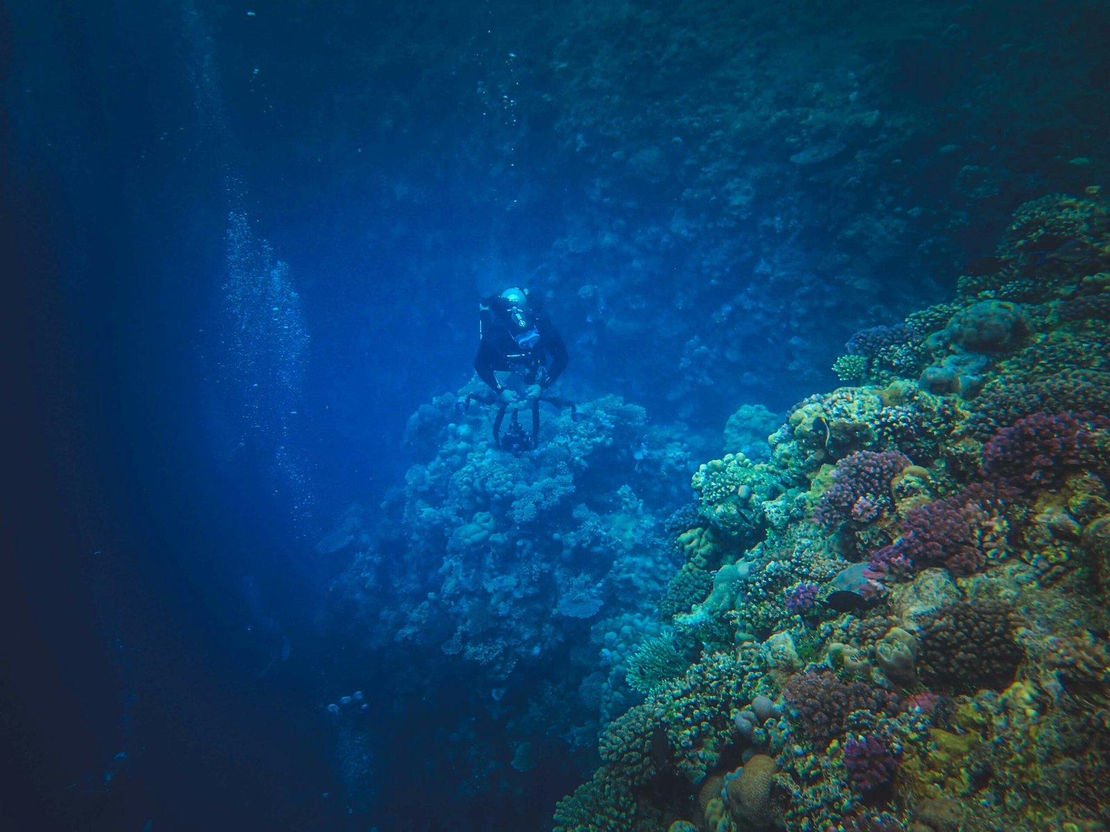How the Advanced Open Water Diver Course Enhances Your Dive Safety