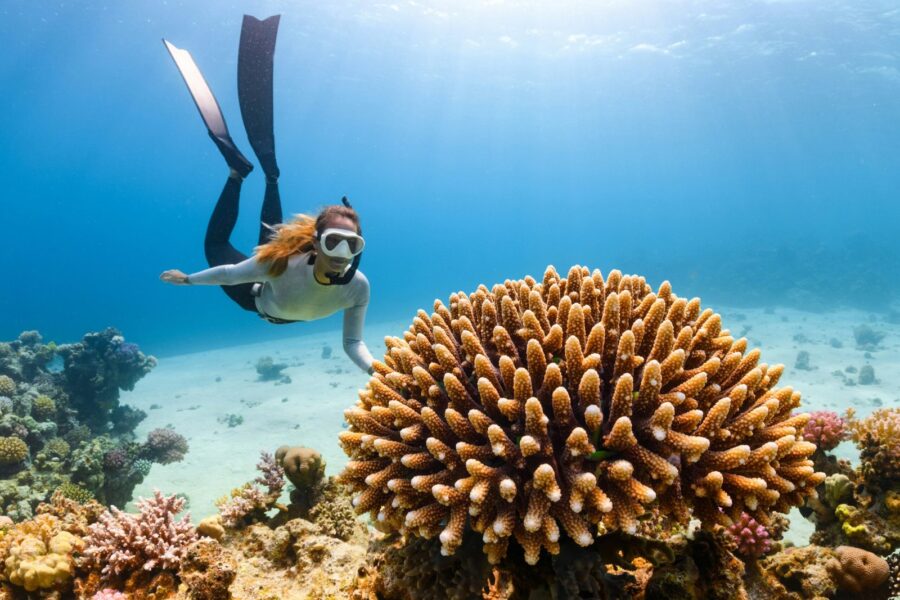 Overnight Musandam Snorkeling Trip