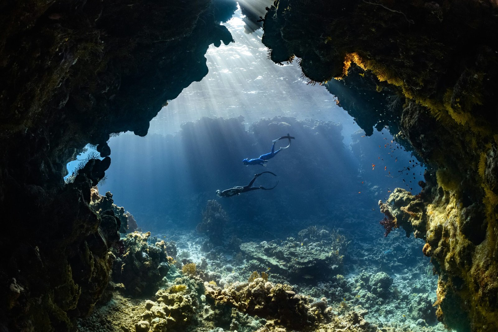 Night Diving in Dubai: Unique Offers for an Underwater Moonlight Adventure