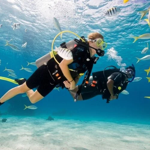 PADI Open Water Premium Course