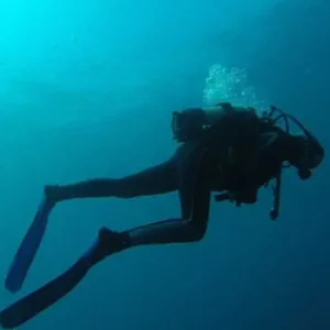 Overnight Diving Trip in Musandam