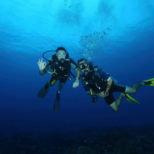 Overnight Diving Trip in Musandam