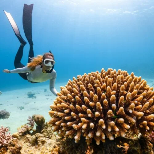 Overnight Musandam Snorkeling Trip