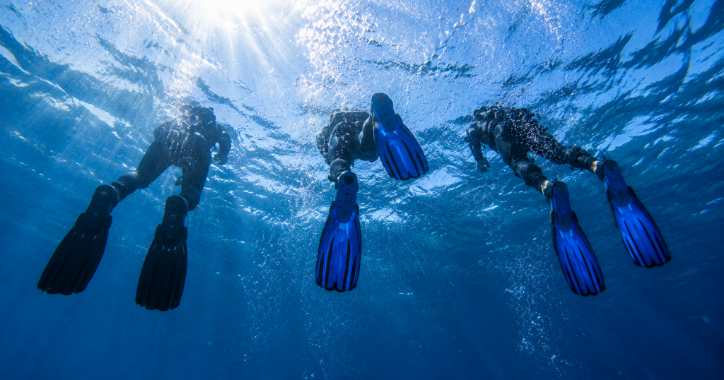 PADI Course Dubai: Everything to Know Before You Start
PADI Course Dubai basics before you book: swim test, medical form, age limits, group size, and what to expect on day one.