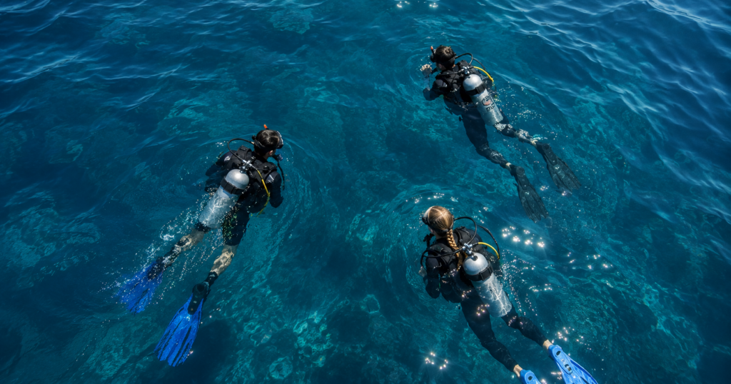 PADI Course Dubai: Everything to Know Before You Start
PADI Course Dubai basics before you book: swim test, medical form, age limits, group size, and what to expect on day one.