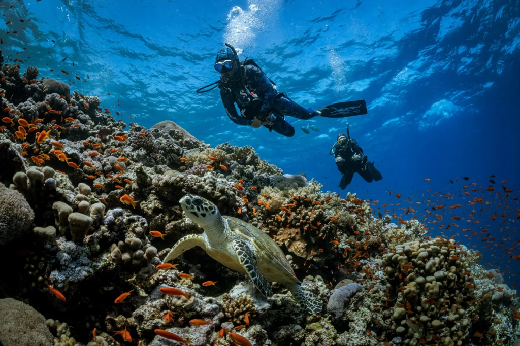 Best Age to Start Learning Scuba Diving: Scuba Diving Lessons Dubai