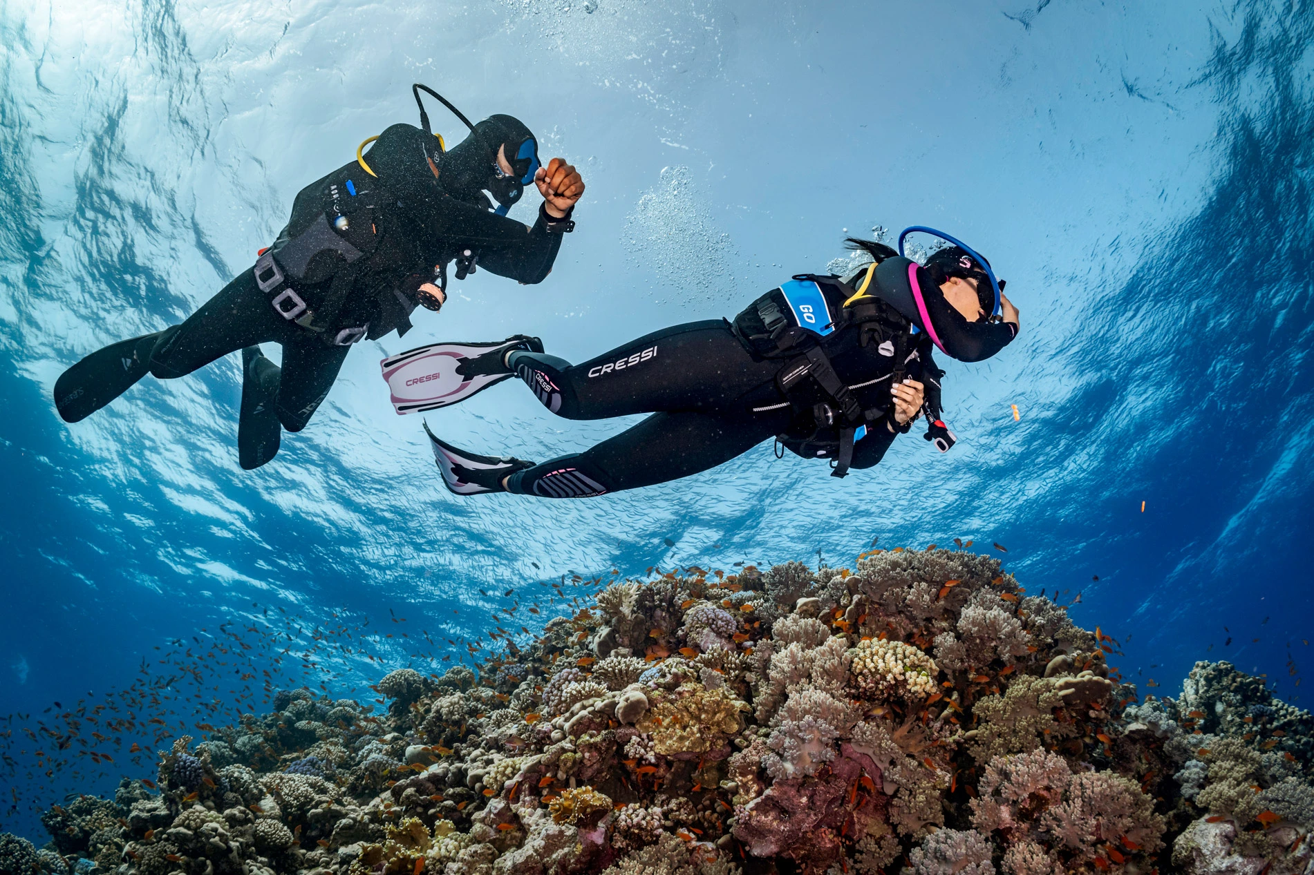 Beginner Scuba Diving Tips: Common Mistakes to Avoid