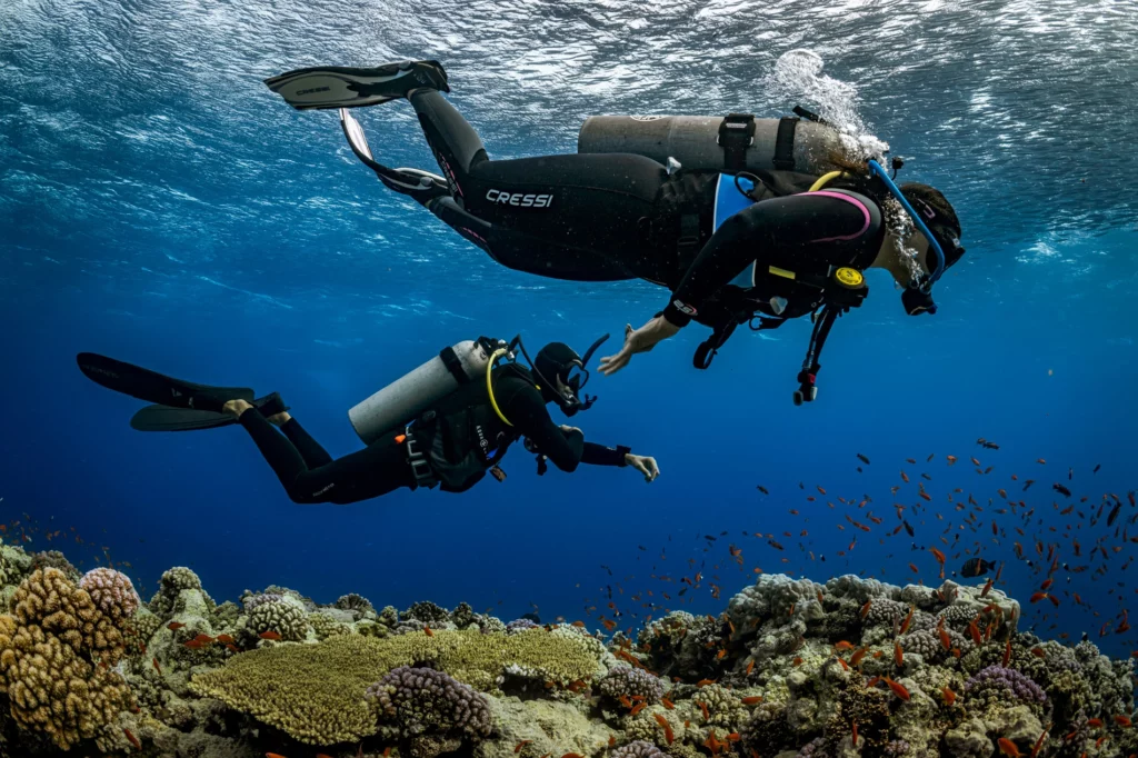 Beginner Scuba Diving Tips: Common Mistakes to Avoid
Beginner Scuba Diving Tips to fix the 6 mistakes new divers make most, from buoyancy checks to equalizing early