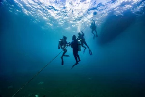 Diving in Fujairah