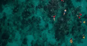 Luxury Dive Sites in Dubai: Where Nemo Dives and What to Expect