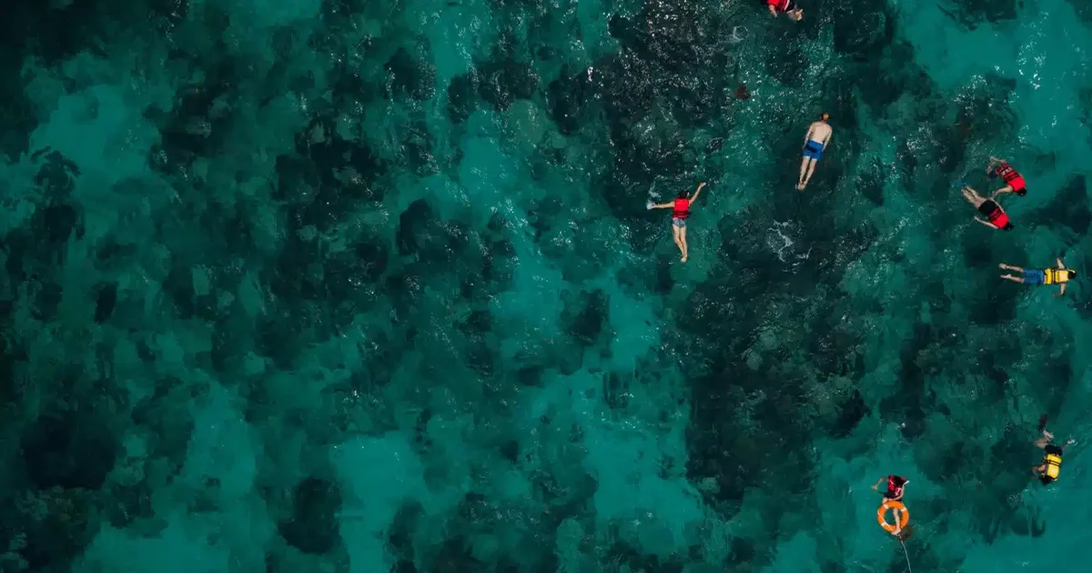 Luxury Dive Sites in Dubai: Where Nemo Dives and What to Expect