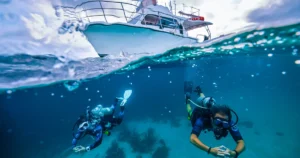 A Dibba boat dive or the Musandam day trip, once you are certified. Beginners should start with a course.