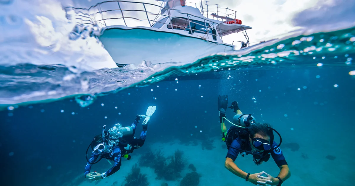 A Dibba boat dive or the Musandam day trip, once you are certified. Beginners should start with a course.