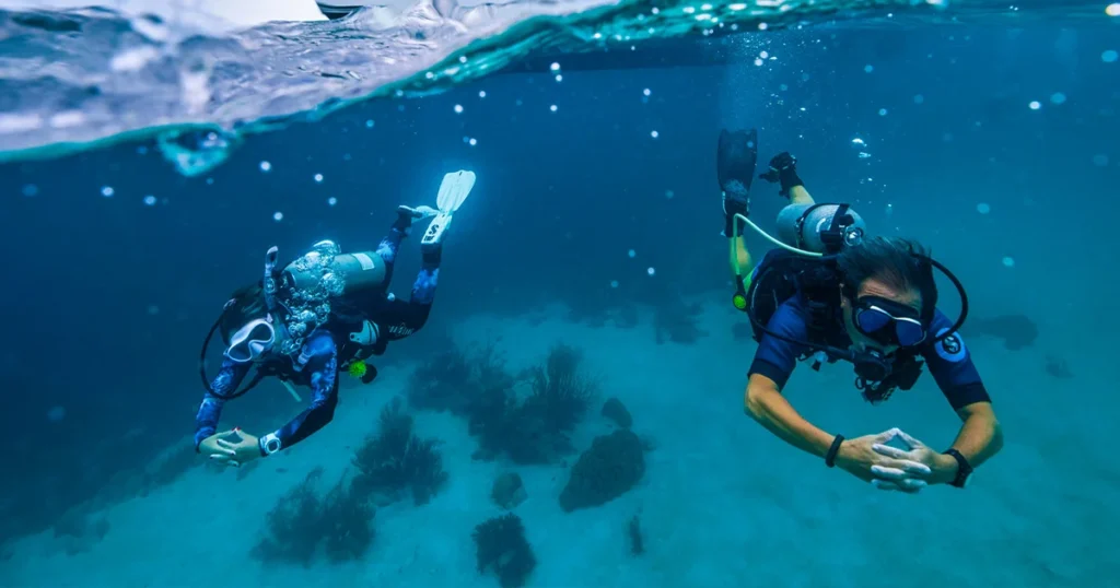 Premium Diving Middle East: Why Dubai Is a Strong Base
Premium diving Middle East travelers look for is about more than one site. Within a few hours of Dubai you can reach two different seas and a third coastline in Oman. This guide compares them and explains why Dubai works as a base for training and trips.