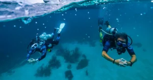 Premium Diving Middle East: Why Dubai Is a Strong Base Premium diving Middle East travelers look for is about more than one site. Within a few hours of Dubai you can reach two different seas and a third coastline in Oman. This guide compares them and explains why Dubai works as a base for training and trips.