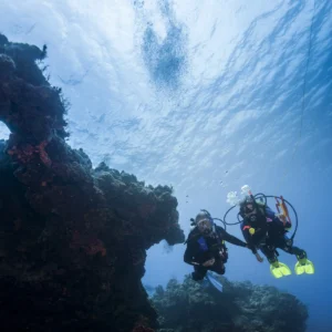 Private diving vs group diving in Dubai: pace, attention, cost and trip format compared, with what Nemo offers for each and how to choose.