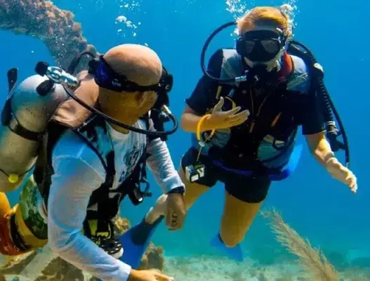 nemo diving discover scuba