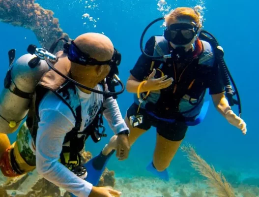 nemo diving try dive in dubai