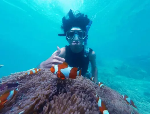 Nemo Fujairah Snorkeling